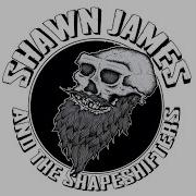 A Change Is Gonna Come Shawn James The Shapeshifters