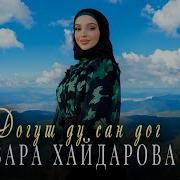 Догуш Ду Са Дог Зара Хайдарова