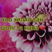 Мар Нан Лерин Дешнаш