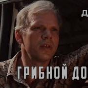 Грибной Дождь Фильм