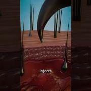 Scorpion Force