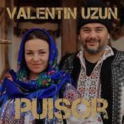 Puisor Valentin Uzun