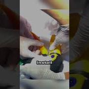 Stay With It Toucan