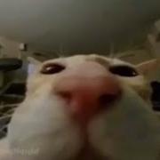 That One Part In うずまき Machine Girl Extended