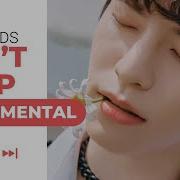 Can T Stop Skz Instrumental