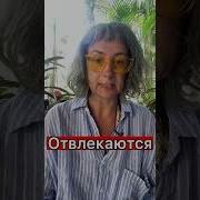 Дизайн Человека