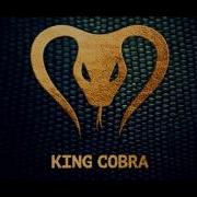 Don Diablo King Cobra