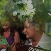 Не Цветет В Садочке Вишня
