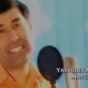 Яхёбек Муминов Майсалар