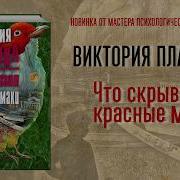 Что Скрывают Красные Маки