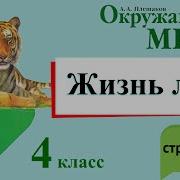 Окружающий Мир 4 Класс Плешаков