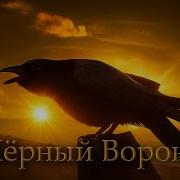 Черный Ворон Песня Оригинал