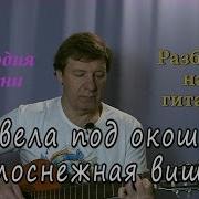 Расцвела Под Окошком Белоснежная Вишня Разбор На Гитаре