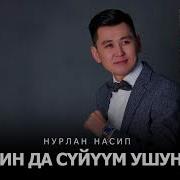 Эн Мыкы Шоу Муз