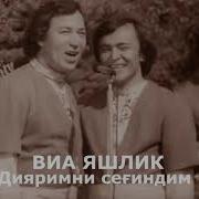 Дияримни Сеғиндим
