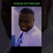 Зурдан Зур Чикади