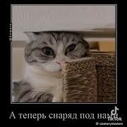 Повеску Дали В Родные Дали