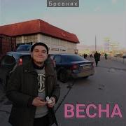 Бровник Скромные Цветы