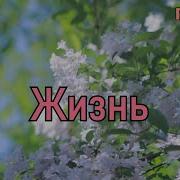 Formatia Curnut Группа Курнуц Жизнь Авторская