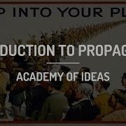 Propaganda Intro