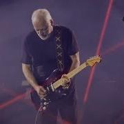 Comfortably Numb Live