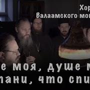 Душе Моя Что Спиши