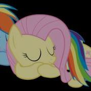 Drop It Mlp Fluttershy And Rainbow Dash