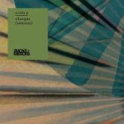 Changes Hot Toddy Remix Crazy P