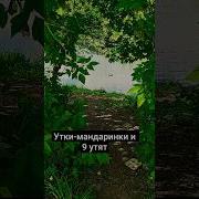 И Природа Хороша И Погода Хороша