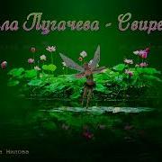 Соловьина Свирель Минус