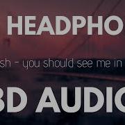 You Should See Me In A Crown Audio 3D Use Headphone