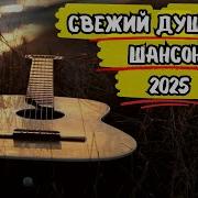 Сборник Шонсона Новинки