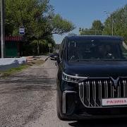 Светлана Разина Назло Брату