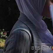 Безамо Дог Ца Хаьстинаг Вуй Теша