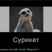Прикол Вояж Вояж И Жаба Коровья Классный Танец