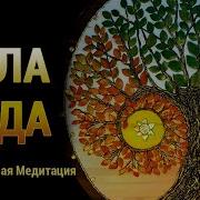 Связь С Родом Сила Рода Медитация