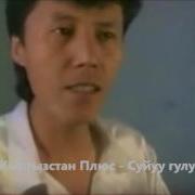 Кыргызстан Плюс Суйуу Гулу