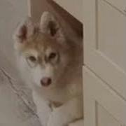 Я Не Мелкий Я Не Дрыщ Минусовка