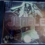 Various This Is Jungle