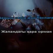 Сенің Көзің Кавер Гитарамен