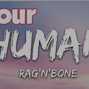 Human Loop