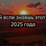 Тренды 2023 Года