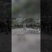 Иди Воевать В Чвк