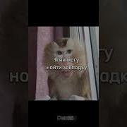 Даня Данечка Я Не Могу Найти Свою Закладку С Мефедроном