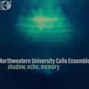 Shadow Echo Memory