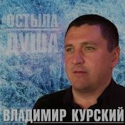Владимир Курский А У Е
