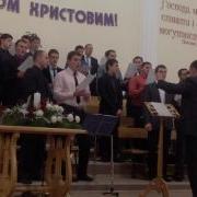 Мхо Мсц Ехб Когда Перед Тобой