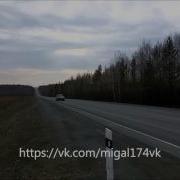 Сгу Пантера Гепард Леопард Барс 200 400 Элина Смерч Элект