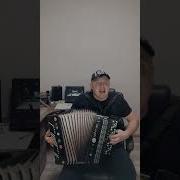 Популярная Гармонь Из Тик Тока