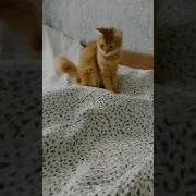 Юрик Ты Там Или Нет
